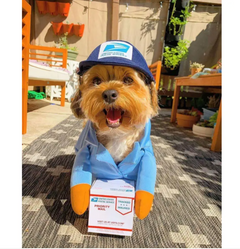 UPS (or USPS) Delivery Costume for Dogs