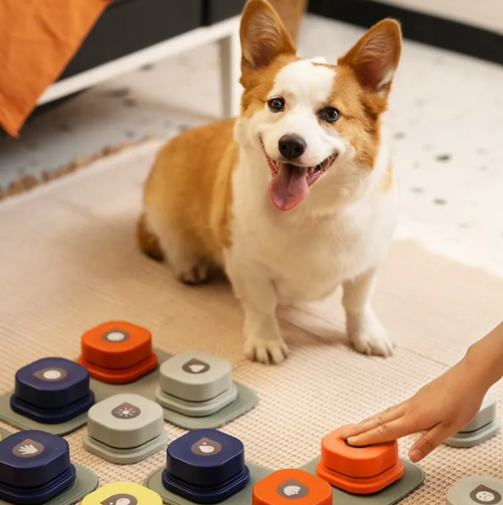 Communication Button for Dogs
