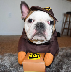 UPS (or USPS) Delivery Costume for Dogs