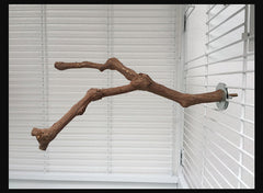 Natural grape vine perches for bird cages