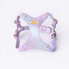 Adjustable Waterproof Leather Pet Harness for Small Dogs