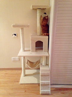 Cat Tree with Scratching Board