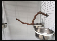 Natural grape vine perches for bird cages