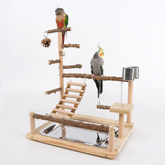 Sichuan Pepper Parrot Climbing Training Platform