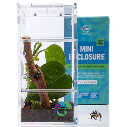 Jumping Spider Enclosure Insect Terrarium Bug Enclosure Spider Cage Jumping Spider Habitat Spider Terrarium Kit Frog Enclosure Praying Mantis Habitat Arboreal Tarantula Enclosure
