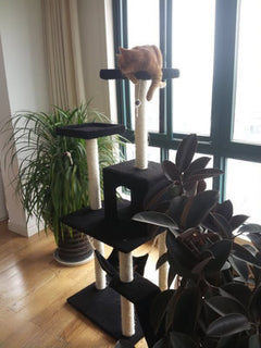 Cat Tree with Scratching Board