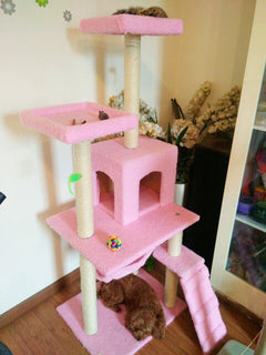Cat Tree with Scratching Board