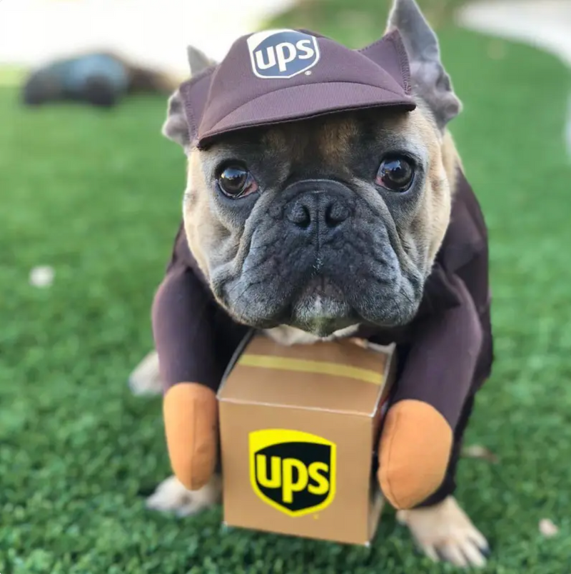 UPS (or USPS) Delivery Costume for Dogs