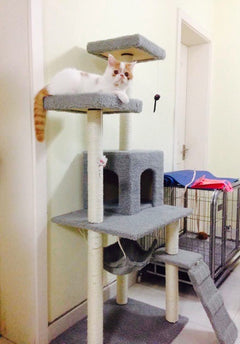 Cat Tree with Scratching Board