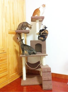 Cat Tree with Scratching Board