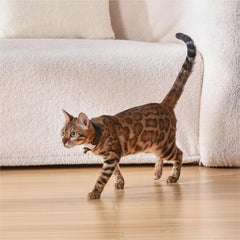 Pet Cat Toy with Laser Collar for Interactive Play