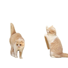 Vertical Cat Scratching Post - Durable Sofa Protector