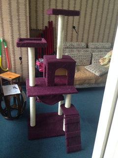 Cat Tree with Scratching Board